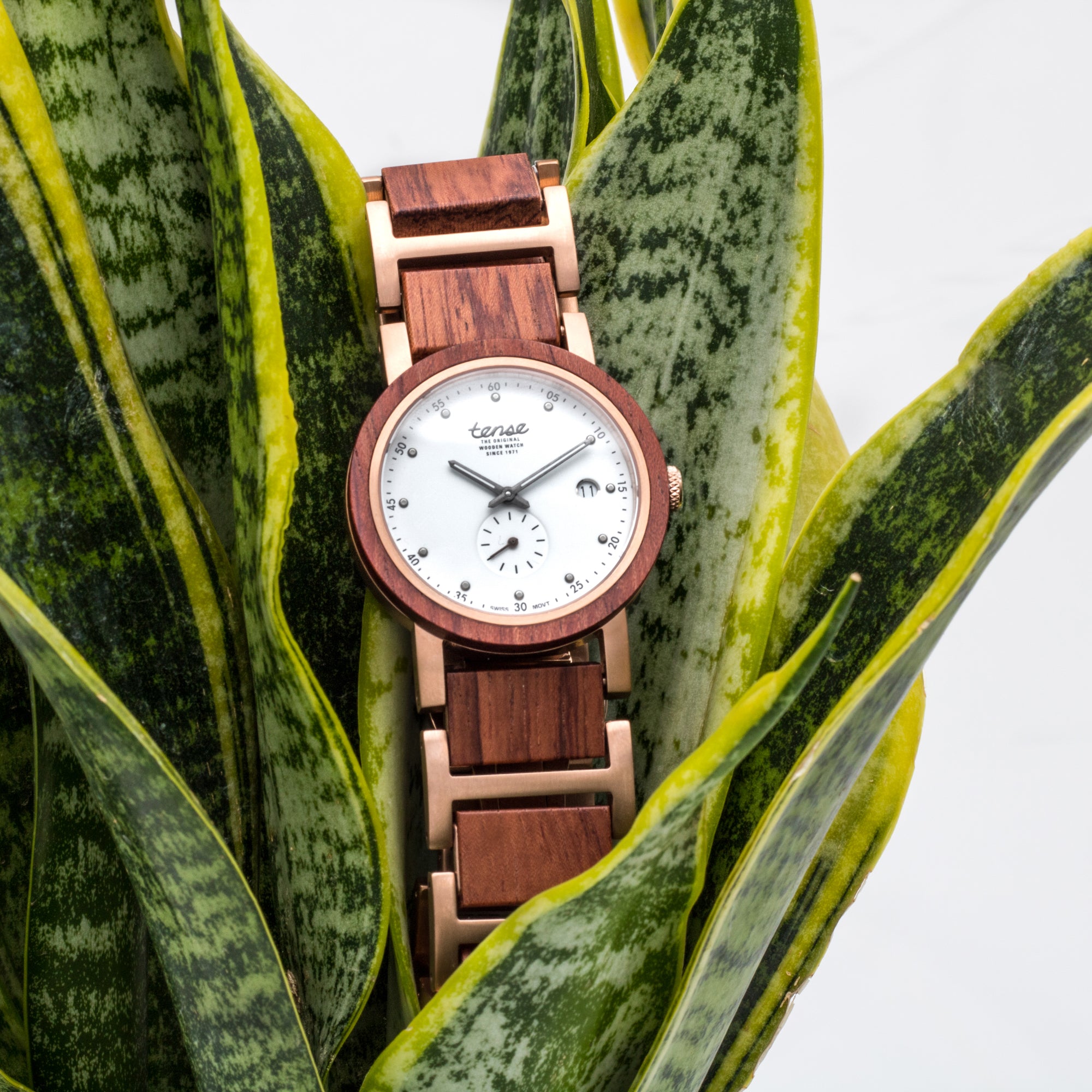 WOOD FEATURE: KARRI WOOD